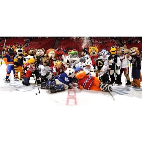 Risd Hockey Mascot: Creating Memorable Moments at Games